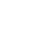 Expert Guidance Icon